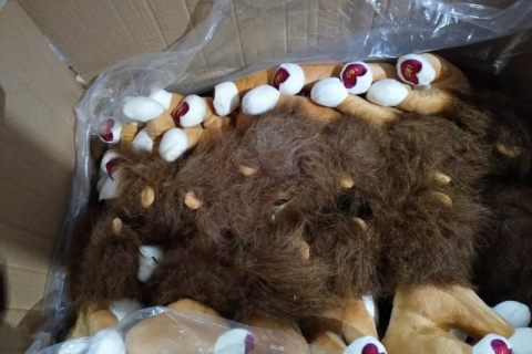 Peluche-Publicitario-León-LEO