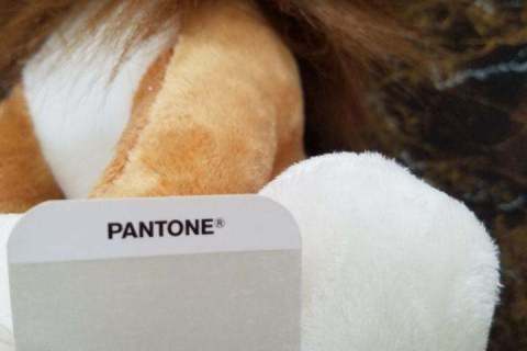 Peluche-Publicitario-León-LEO