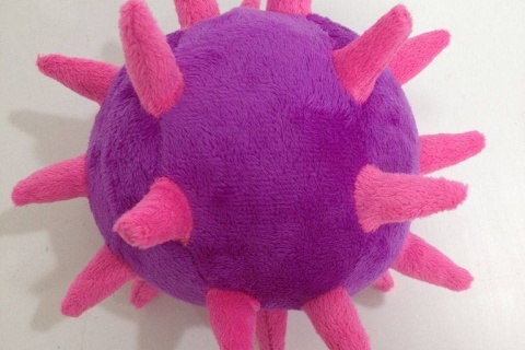 Peluche-Publicitario-Erizo-Olleta_Hotel-Cap-Negret